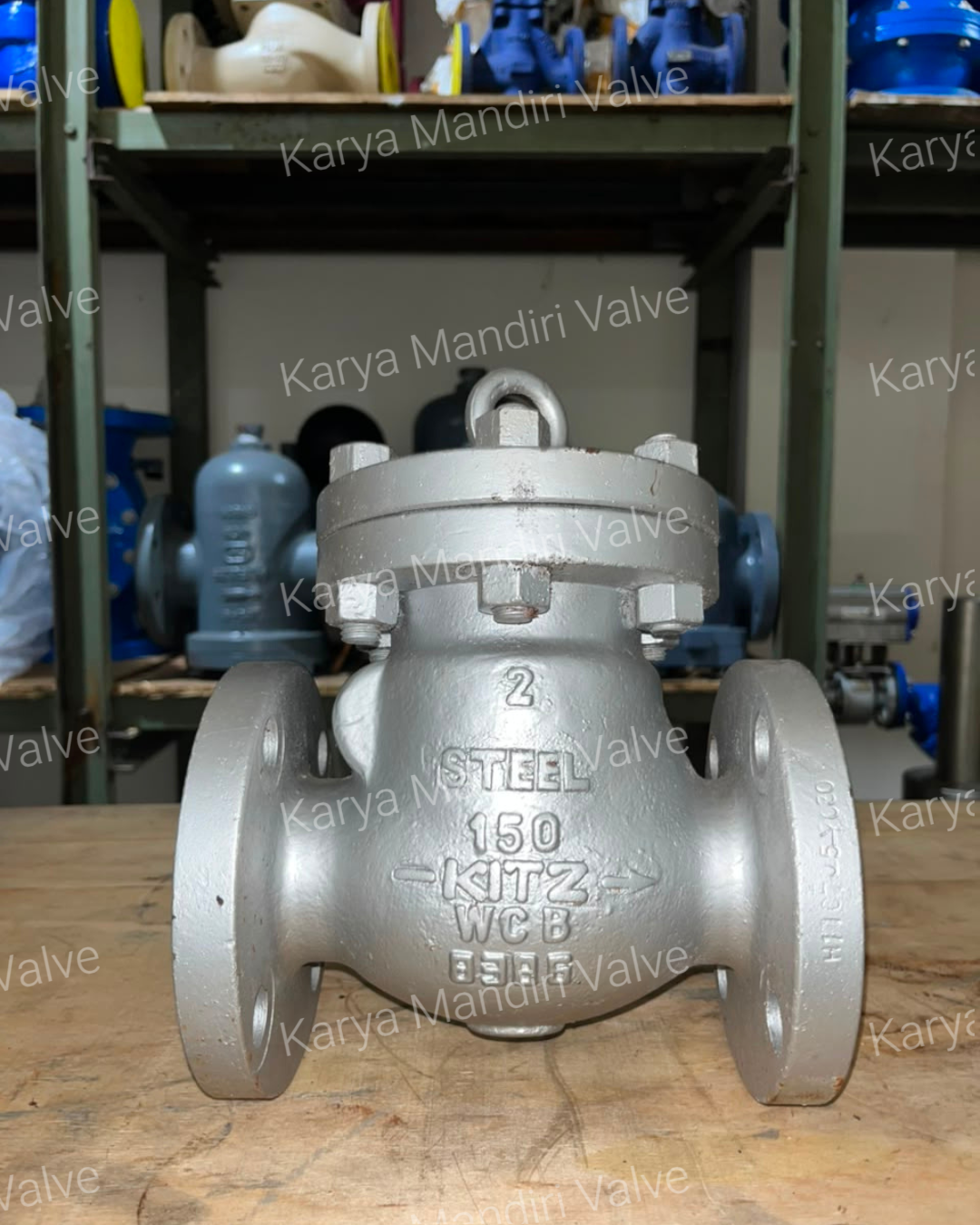 Check Valve